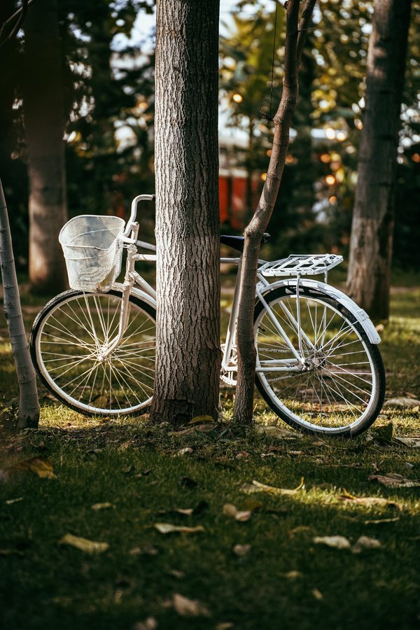 Roues vélo gravel : la clé d'une aventure inoubliable